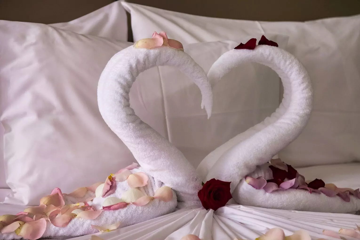 هتل رادیسون رویال در سنت پترزبورگ روسیه